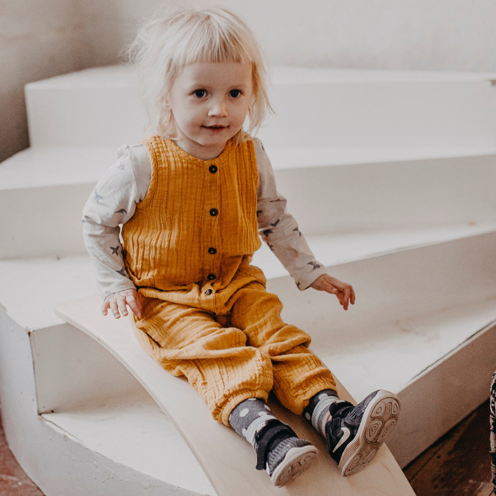 Wooden Balance Board slide